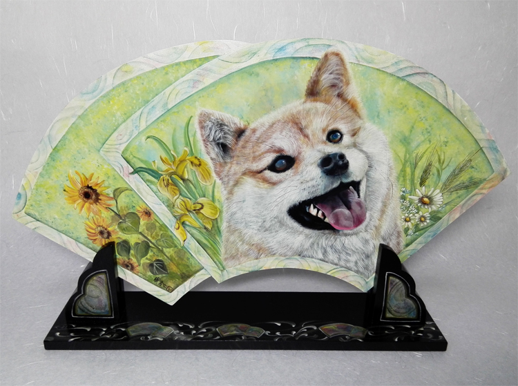 柴犬のお父さん